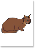 Brutus-the-Cat